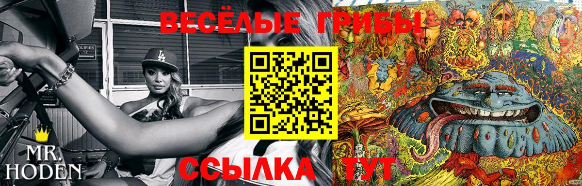 Псилоцибиновые грибы мухоморы  Псилоцибиновые грибы MAGIC MUSHROOMS  сколько стоит  Вход с VPN  Алейск 